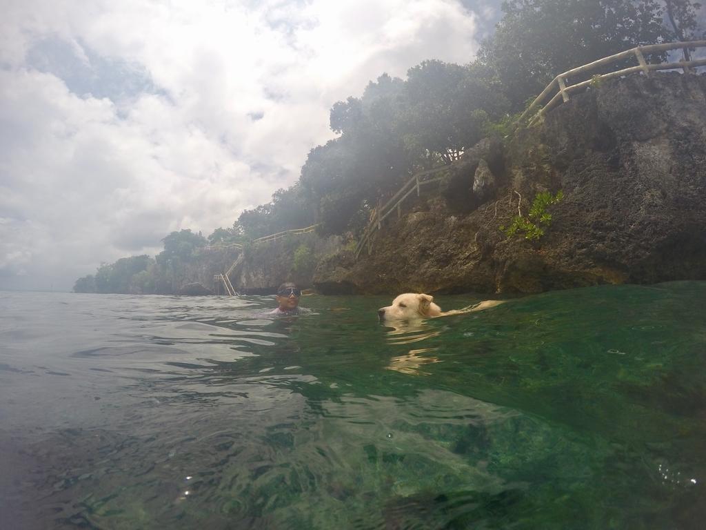 Alexis Cliff Dive Resort Панглао Екстериор снимка